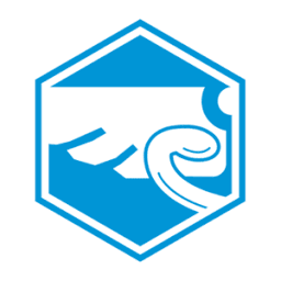 Rigel Medical